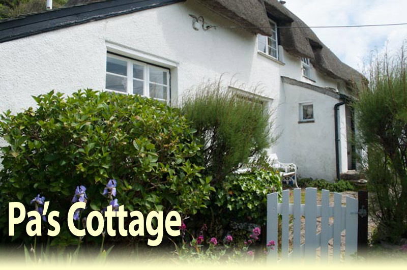Thatched Holiday Cottage - Crackingtong Haven