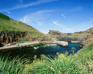 Self Catering Holiday Cottage -  North Cornwall