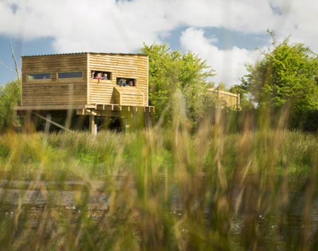 Bird watching Hide - overlooking Walmsley Bird Sanctuary North Cornwall