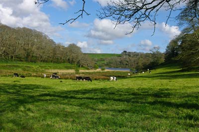 Self-catering in Porthleven - Loe Bar