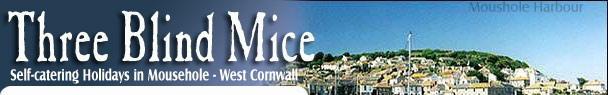 Mousehole