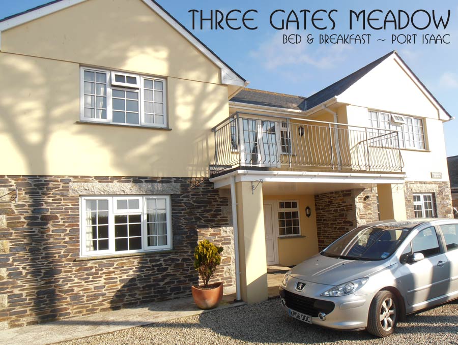 Three Gates Meadow B&B stays in Port isaac Bed and Breakfast Port Isaac