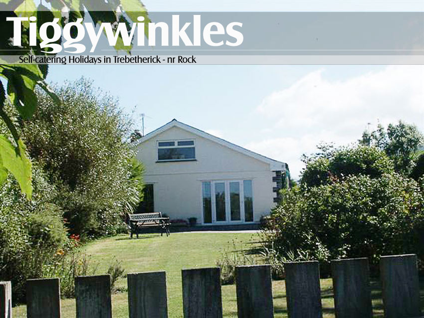 Tiggywinkles in Trebtherick Daymer Bay