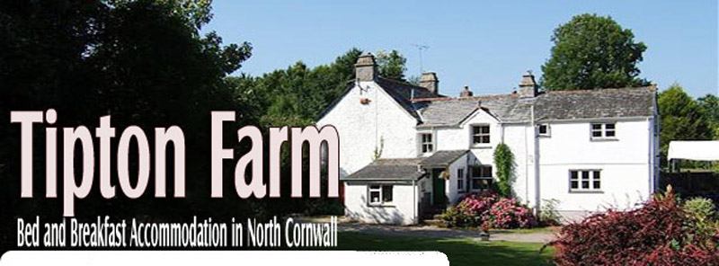 Bed and Breakfast - St Kew Highway, Wadebridge- Tipton Farm