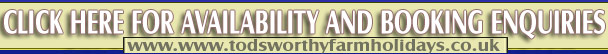 Cornwall Online Contact details