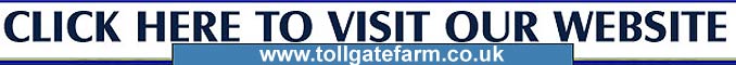 Cornwall Online Contact details