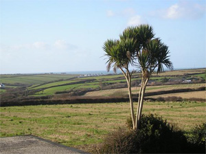Treaaron - St Merryn - Cornwall