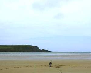 Self catering in Port Isaac and  St Teath