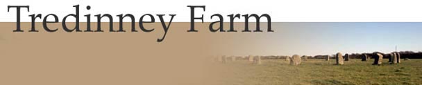 Tredinney Farm - St Buryan, Lands End. - Self-catering & Bed and Breakfast