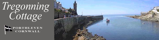 Porthleven