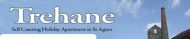 self catering accommodation St Agnes, Trevaunance Cove, Cornwall - Trehane - St Agnes