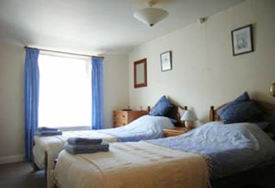 Trehane Twin Room