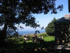 Boscastle views