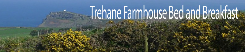 Trehane Farmhouse