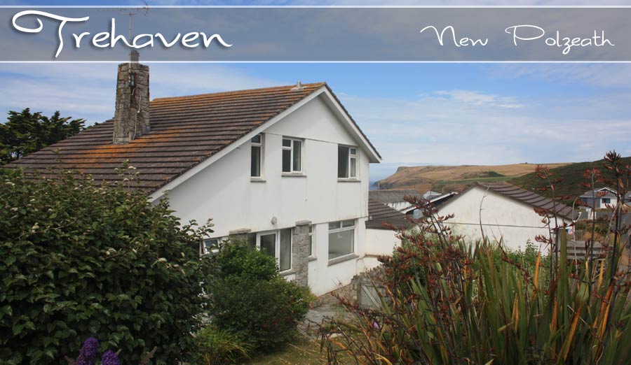 Trehaven New Polzeath