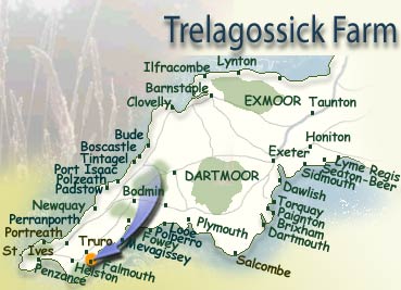 Location