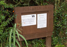 Boscawen-un Stone Circle at Trelew Farm