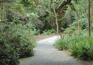 The National Trust Garden at Trengwainton