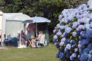 Treloy Caravan Touring Park