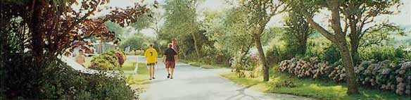 Treloy Caravan Touring Park