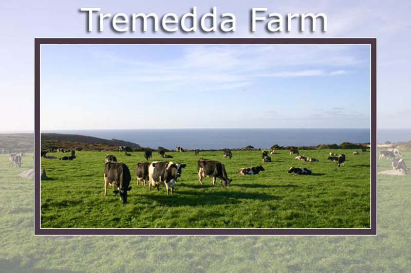 Tremedda farm - Zennor