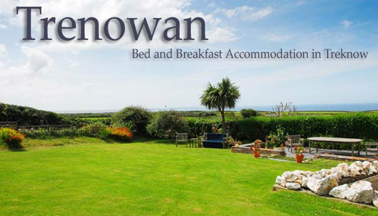 Bed and Breakfast Accommodation near Tintagel Cornwall
