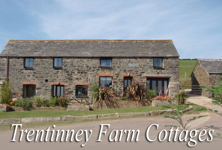 Holiday Cottages Port Isaac - Trentinney Farm