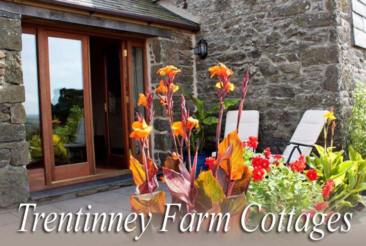 Trentinney Farm Holiday Cottages Port Isaac Holiday Cottage
