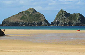 Gull Rocks Holywell Bay