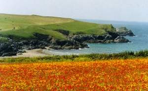 Self catering in Newquay