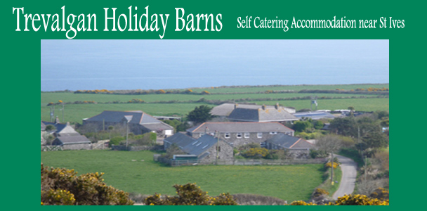 Self Catering Cottages - St Ives - Trevalgan Holiday Barns
