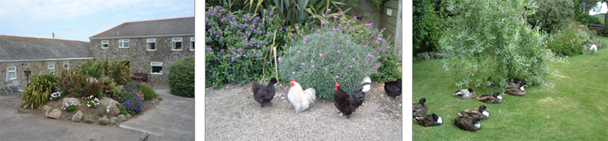 Self Catering Cottages - St Ives - Trevalgan Holiday Barns
