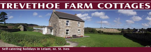 St Ives holiday cottages on Trevethoe Farm 