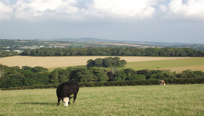 St Ives Holiday Cottages Trevethoe Farm St Ives Holiday