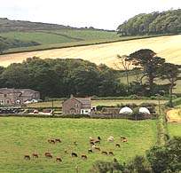 Trevethoe Farm Cottages Cornwall