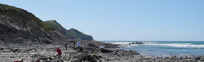 Crackington Haven