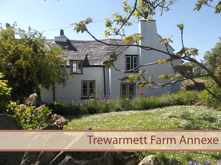 Self Catering Tintagel