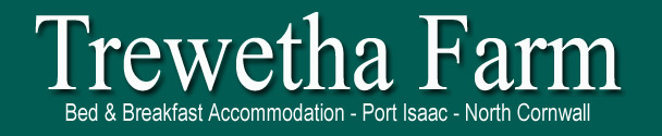 Bed and Breakfast Accommodation - Port Isaac