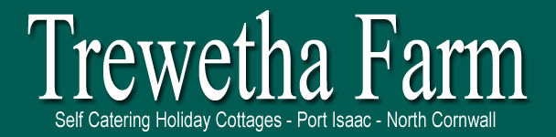 Self Catering Accommodation Port Isaac Cornwall