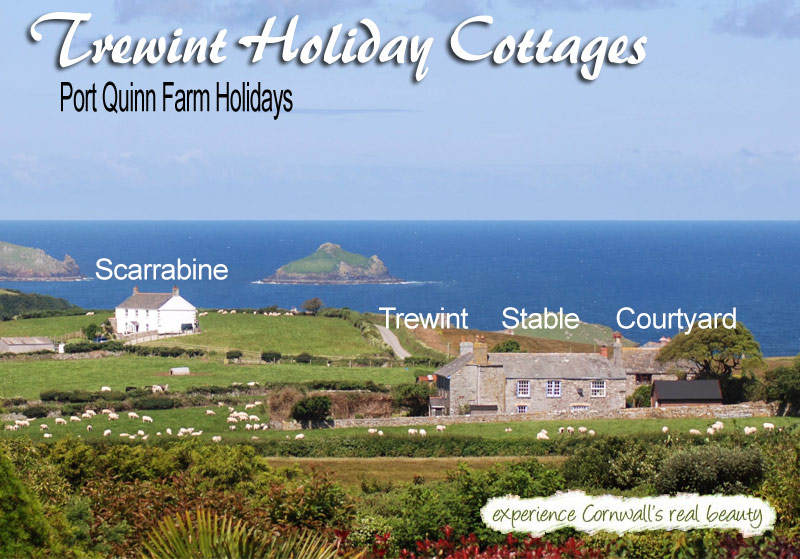 Port Quin Farm Holidays Port Isaac Self Catering Cottages Trewint