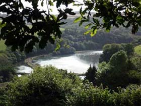 River View Cottage