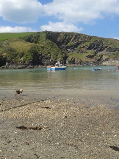 Port iIsaac