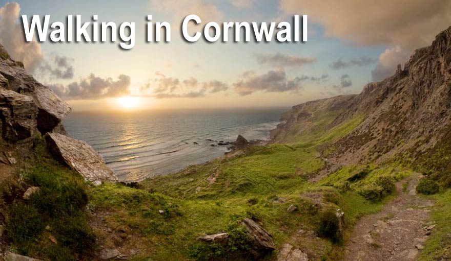 wallking in cornwall