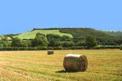 Phoenix Engine House, looking towards the Cheesewring