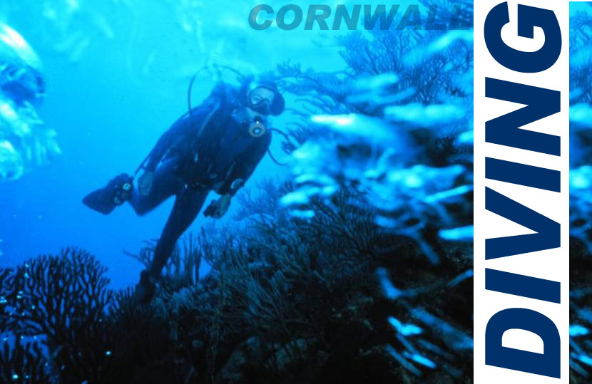 Scuba Diving in Cornwall
