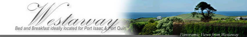 Westaway B&B Port isaac