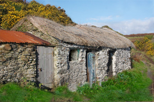 cottages