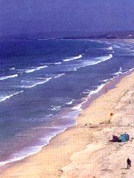 Picture of locality