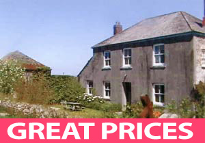 West Nethercott Farm - Bed & Breakfast 