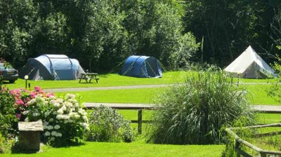 Camping in Bude at - Willow Valley